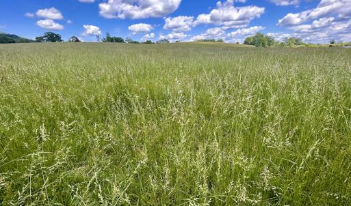 Photo #89 of SOLD property in 127 Albert Farm Rd, Monroe, VA 225.2 acres
