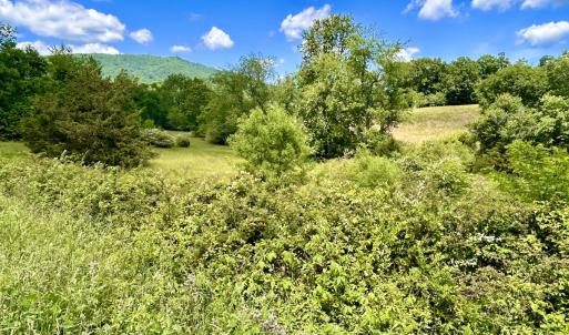 Photo #90 of SOLD property in 127 Albert Farm Rd, Monroe, VA 225.2 acres