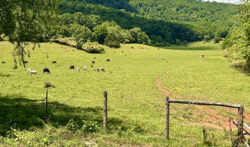 Photo #92 of SOLD property in 127 Albert Farm Rd, Monroe, VA 225.2 acres