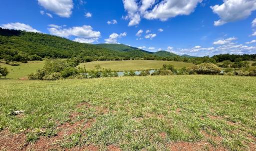 Photo #94 of SOLD property in 127 Albert Farm Rd, Monroe, VA 225.2 acres