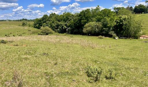Photo #95 of SOLD property in 127 Albert Farm Rd, Monroe, VA 225.2 acres
