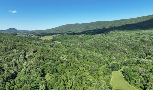 Photo #7 of SOLD property in 4400 Rich Patch Rd, Covington, VA 153.0 acres