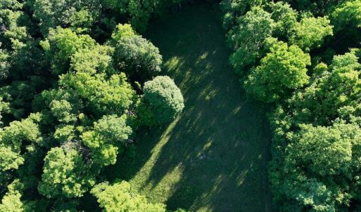 Photo #13 of SOLD property in 4400 Rich Patch Rd, Covington, VA 153.0 acres