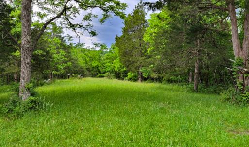 Photo #17 of SOLD property in 4400 Rich Patch Rd, Covington, VA 153.0 acres