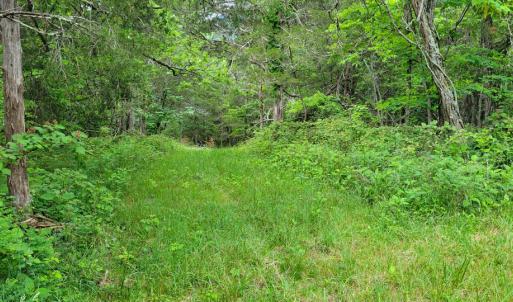 Photo #23 of SOLD property in 4400 Rich Patch Rd, Covington, VA 153.0 acres