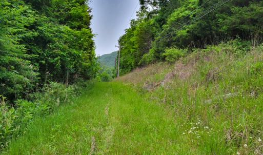 Photo #24 of SOLD property in 4400 Rich Patch Rd, Covington, VA 153.0 acres