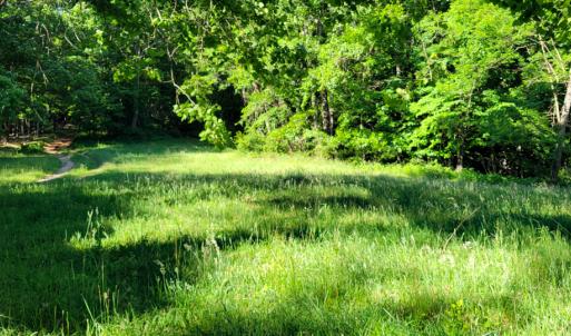 Photo #26 of SOLD property in 4400 Rich Patch Rd, Covington, VA 153.0 acres