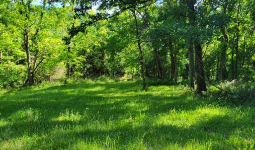Photo #28 of SOLD property in 4400 Rich Patch Rd, Covington, VA 153.0 acres