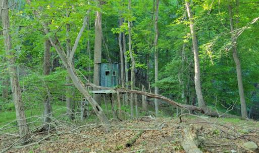 Photo #30 of SOLD property in 4400 Rich Patch Rd, Covington, VA 153.0 acres