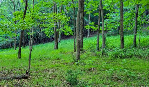 Photo #31 of SOLD property in 4400 Rich Patch Rd, Covington, VA 153.0 acres