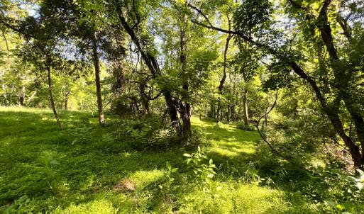Photo #33 of SOLD property in 4400 Rich Patch Rd, Covington, VA 153.0 acres