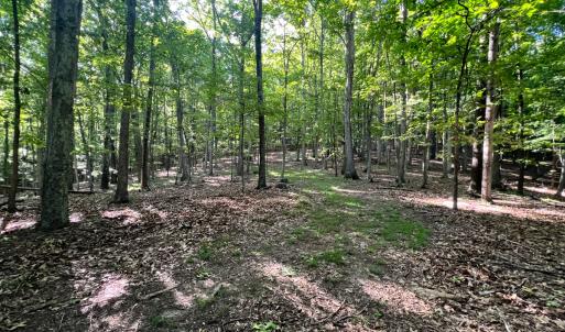 Photo #34 of SOLD property in 4400 Rich Patch Rd, Covington, VA 153.0 acres