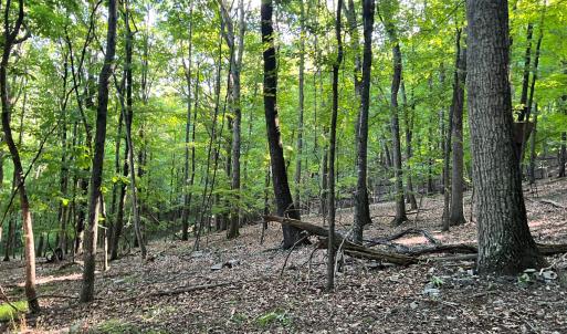 Photo #36 of SOLD property in 4400 Rich Patch Rd, Covington, VA 153.0 acres