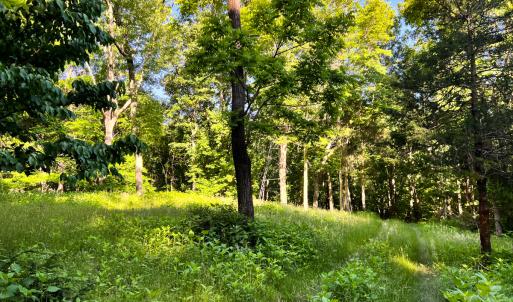 Photo #37 of SOLD property in 4400 Rich Patch Rd, Covington, VA 153.0 acres