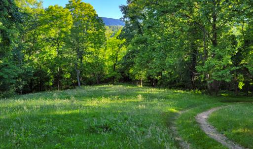 Photo #38 of SOLD property in 4400 Rich Patch Rd, Covington, VA 153.0 acres