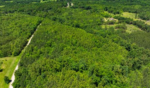 Photo #2 of SOLD property in Off Wilson Road - Lot 5, Providence, NC 14.6 acres