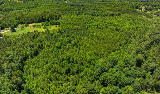 Photo #16 of SOLD property in Off Wilson Road - Lot 5, Providence, NC 14.6 acres
