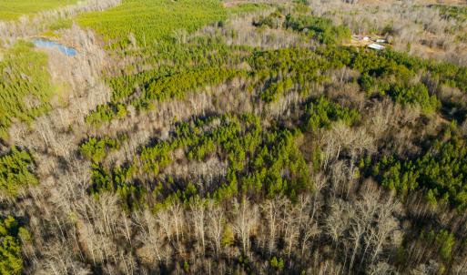 Photo #19 of SOLD property in Off Wilson Road - Lot 5, Providence, NC 14.6 acres