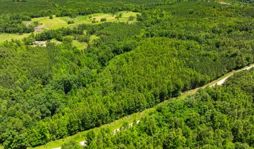 Photo #26 of SOLD property in Off Wilson Road - Lot 5, Providence, NC 14.6 acres