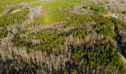 Photo #27 of SOLD property in Off Wilson Road - Lot 5, Providence, NC 14.6 acres