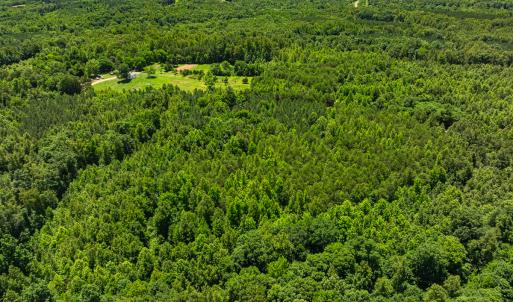 Photo #31 of SOLD property in Off Wilson Road - Lot 5, Providence, NC 14.6 acres