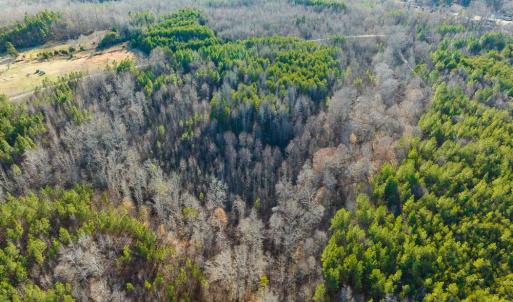 Photo #32 of SOLD property in Off Wilson Road - Lot 5, Providence, NC 14.6 acres
