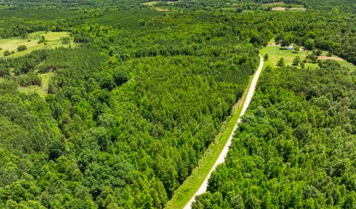 Photo #33 of SOLD property in Off Wilson Road - Lot 5, Providence, NC 14.6 acres