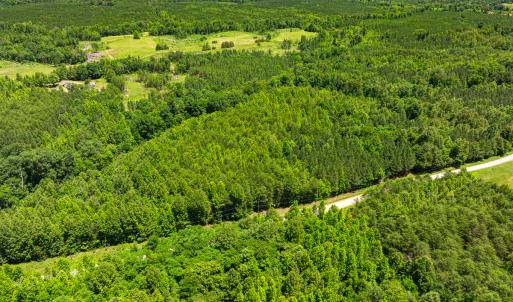 Photo #37 of SOLD property in Off Wilson Road - Lot 5, Providence, NC 14.6 acres