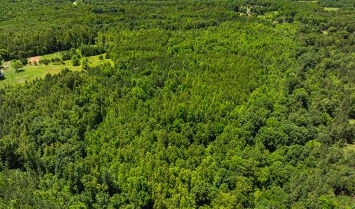 Photo #38 of SOLD property in Off Wilson Road - Lot 5, Providence, NC 14.6 acres