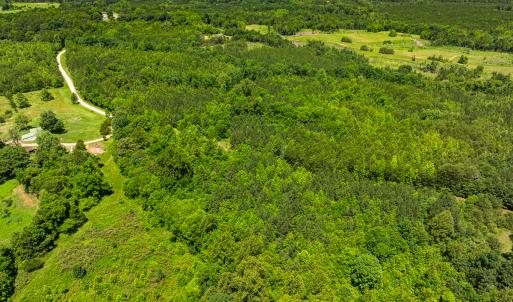 Photo #2 of Off Wilson Road - Lot 6, Providence, NC 33.5 acres