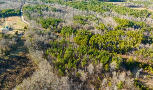 Photo #4 of Off Wilson Road - Lot 6, Providence, NC 33.5 acres