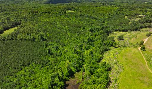 Photo #6 of Off Wilson Road - Lot 6, Providence, NC 33.5 acres