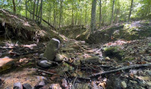 Photo #8 of Off Wilson Road - Lot 6, Providence, NC 33.5 acres
