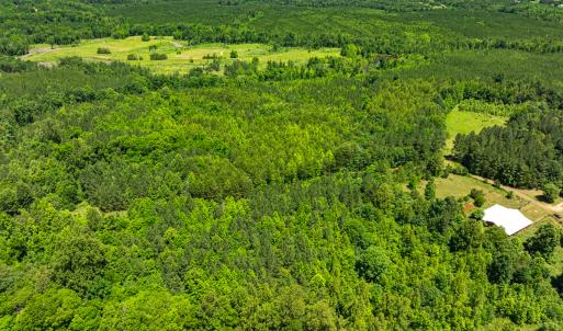 Photo #9 of Off Wilson Road - Lot 6, Providence, NC 33.5 acres