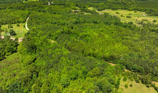 Photo #13 of Off Wilson Road - Lot 6, Providence, NC 33.5 acres