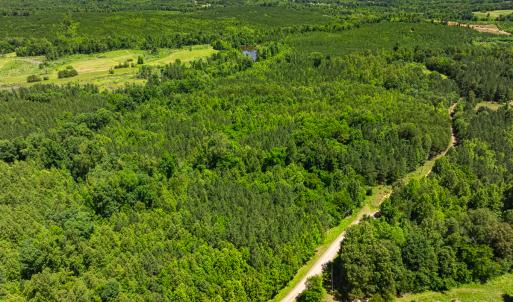 Photo #16 of Off Wilson Road - Lot 6, Providence, NC 33.5 acres