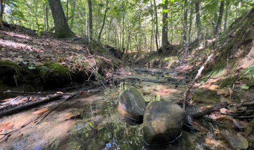 Photo #18 of Off Wilson Road - Lot 6, Providence, NC 33.5 acres