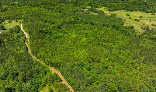 Photo #19 of Off Wilson Road - Lot 6, Providence, NC 33.5 acres