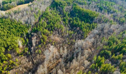 Photo #21 of Off Wilson Road - Lot 6, Providence, NC 33.5 acres