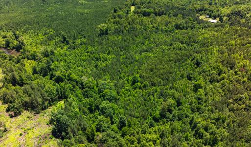 Photo #22 of Off Wilson Road - Lot 6, Providence, NC 33.5 acres