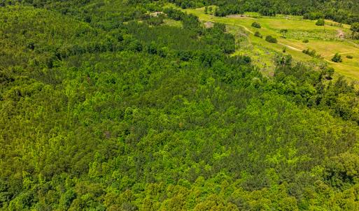 Photo #25 of Off Wilson Road - Lot 6, Providence, NC 33.5 acres