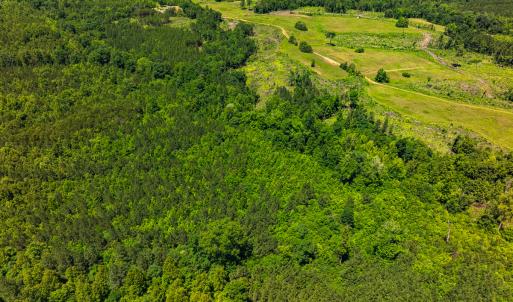 Photo #30 of Off Wilson Road - Lot 6, Providence, NC 33.5 acres