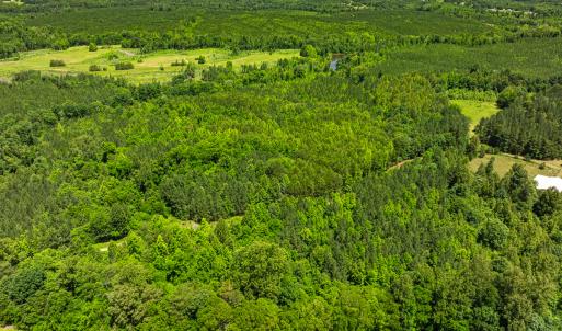 Photo #33 of Off Wilson Road - Lot 6, Providence, NC 33.5 acres