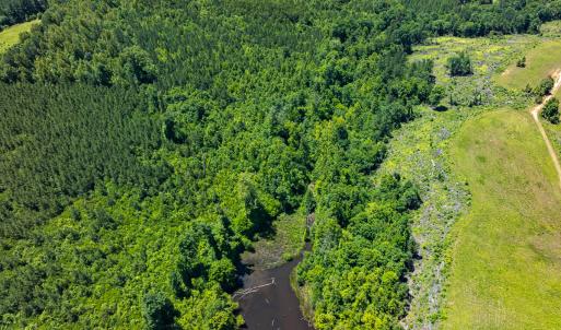 Photo #35 of Off Wilson Road - Lot 6, Providence, NC 33.5 acres