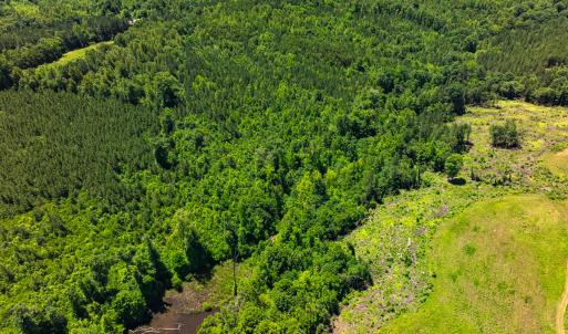 Photo #38 of Off Wilson Road - Lot 6, Providence, NC 33.5 acres