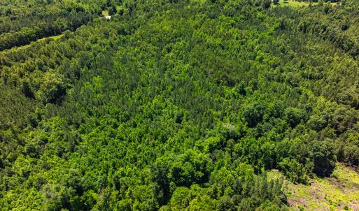 Photo #40 of Off Wilson Road - Lot 6, Providence, NC 33.5 acres