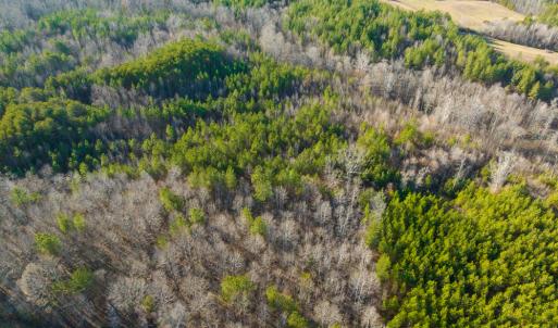 Photo #41 of Off Wilson Road - Lot 6, Providence, NC 33.5 acres