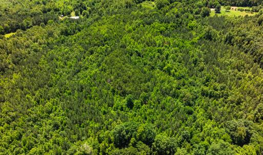Photo #42 of Off Wilson Road - Lot 6, Providence, NC 33.5 acres