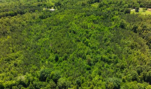 Photo #44 of Off Wilson Road - Lot 6, Providence, NC 33.5 acres
