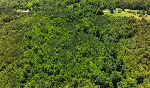 Photo #46 of Off Wilson Road - Lot 6, Providence, NC 33.5 acres